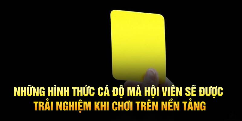 Những hình thức cá độ mà hội viên sẽ được trải nghiệm khi chơi trên nền tảng